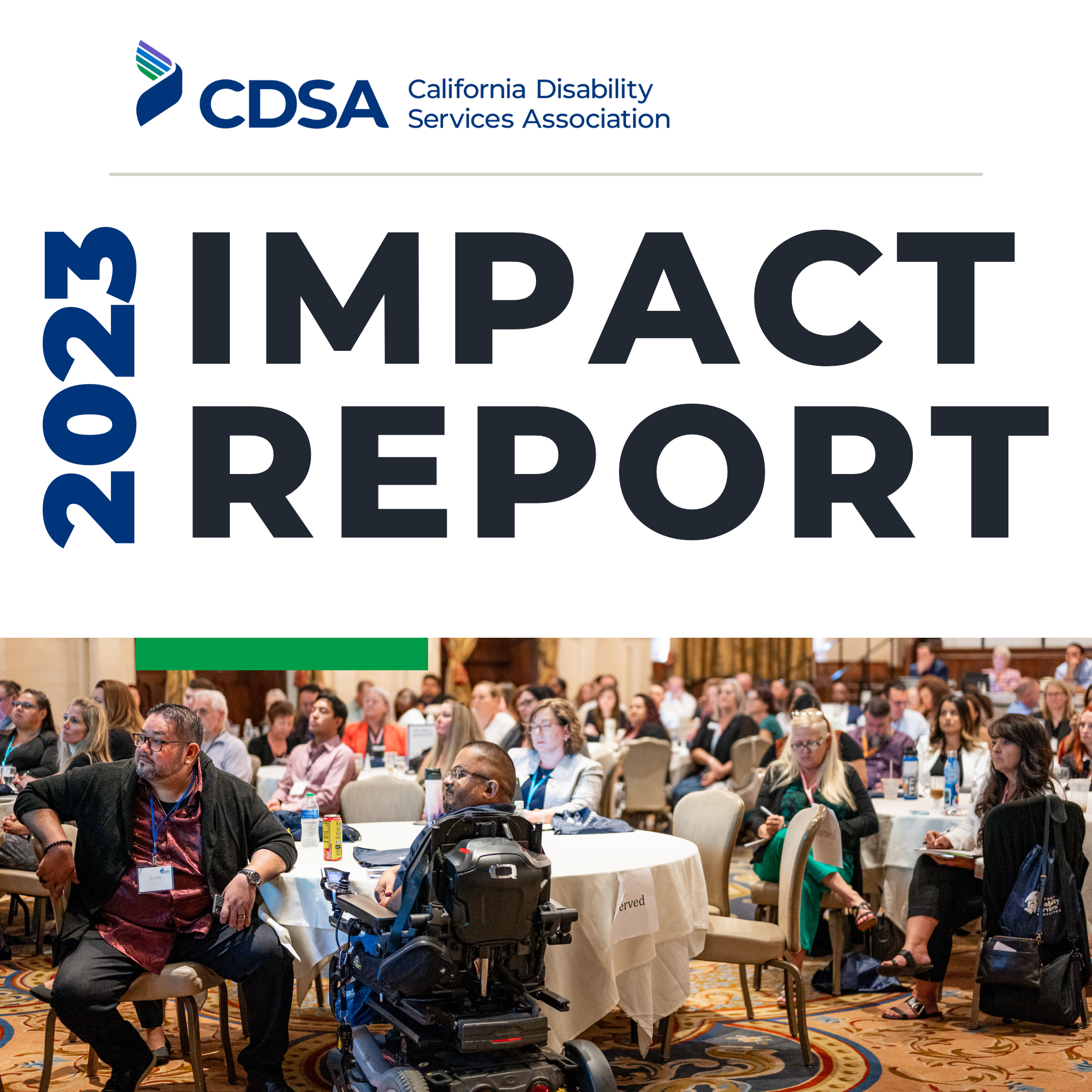 CDSA Impact Report 2023